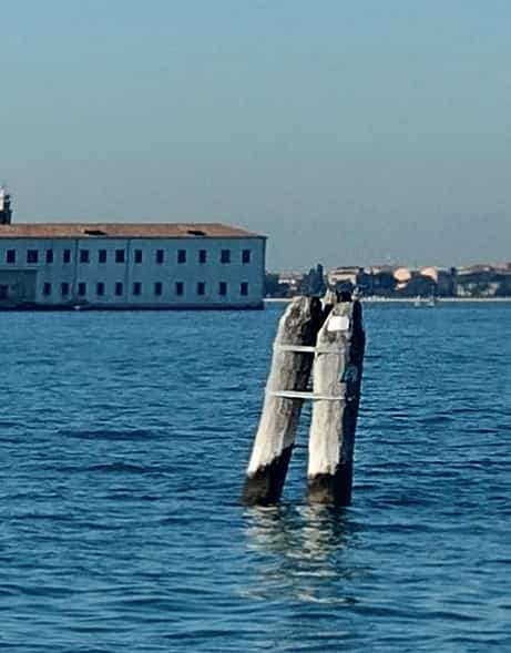 bricola in venice canals